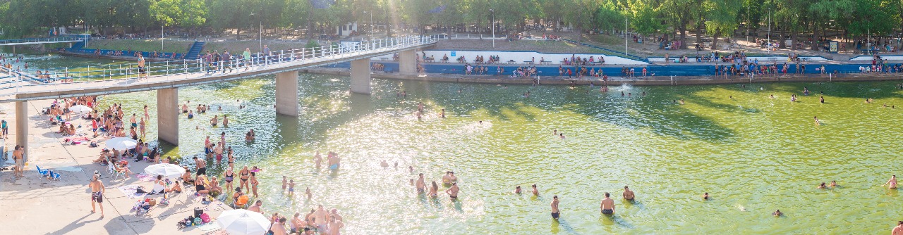 La Municipalidad de Salto informó que, luego de haber efectuado tres llamados a licitación pública para otorgar en concesión comercial la proveeduría ubicada en el Camping Municipal con resultado vacante, se ha resuelto avanzar en el otorgamiento del puesto mediante el sistema de adjudicación directa.