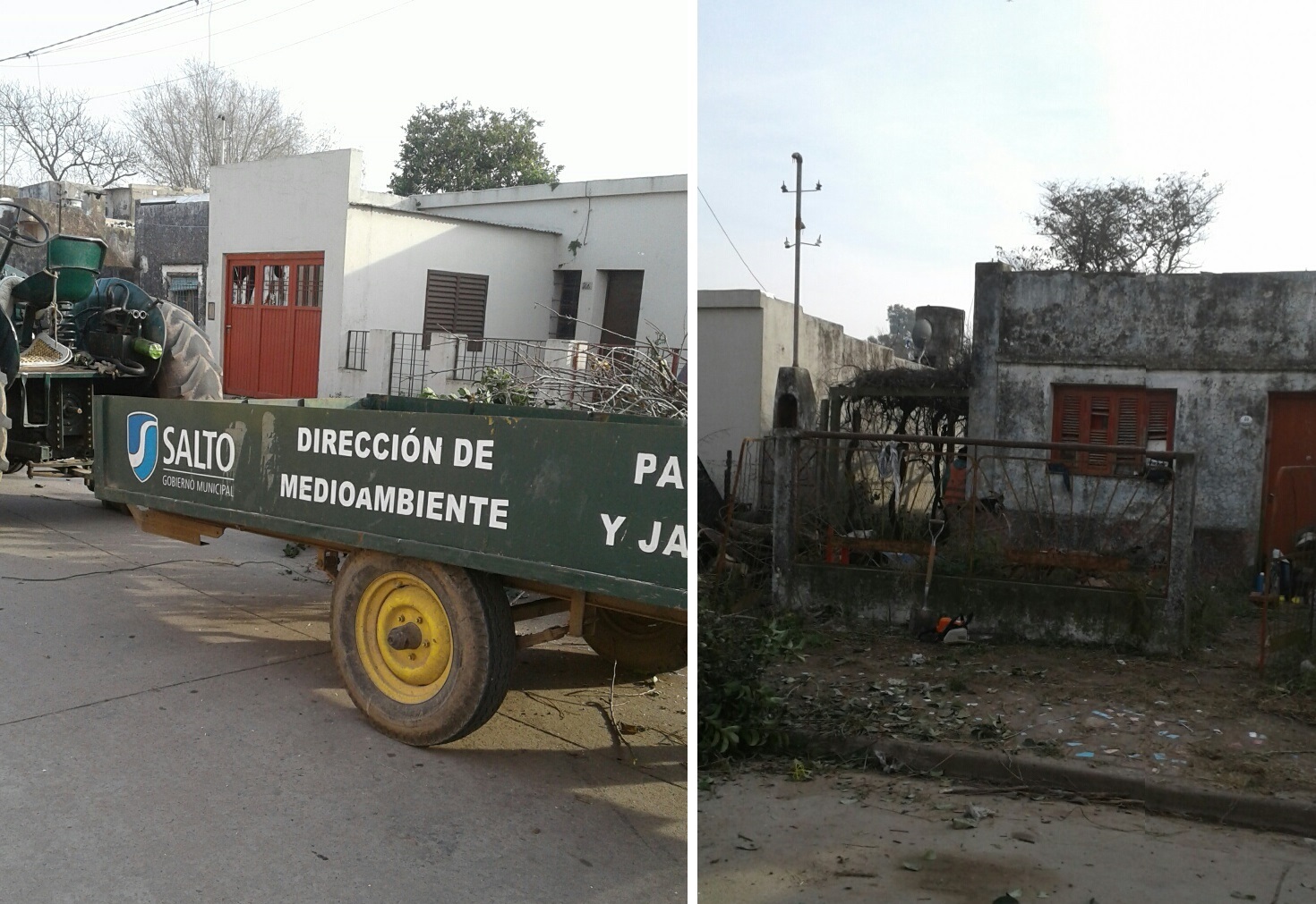 A fines de marzo se había presentado en el Juzgado de Faltas una queja vecinal, reclamando limpieza y desinfección de una vivienda ubicada en la calle Belgrano 30, siendo que el abandono de la finca (con un patio de grandes dimensiones) alentó la presencia de roedores, arbustos de gran tamaño y otras malezas.