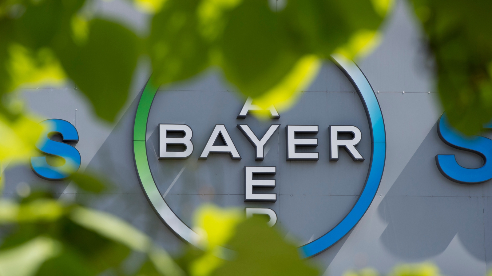 En una operación que alcanza los 585 millones de dólares, Bayer llegó a un acuerdo para vender Dr. Scholl’s, su negocio de cuidado de los pies, al grupo de capitales privados Yellow Wood Partners. Se trataría de la última de una serie de ventas que pretenden reposicionar a la firma alemana tras la adquisición de Monsanto.