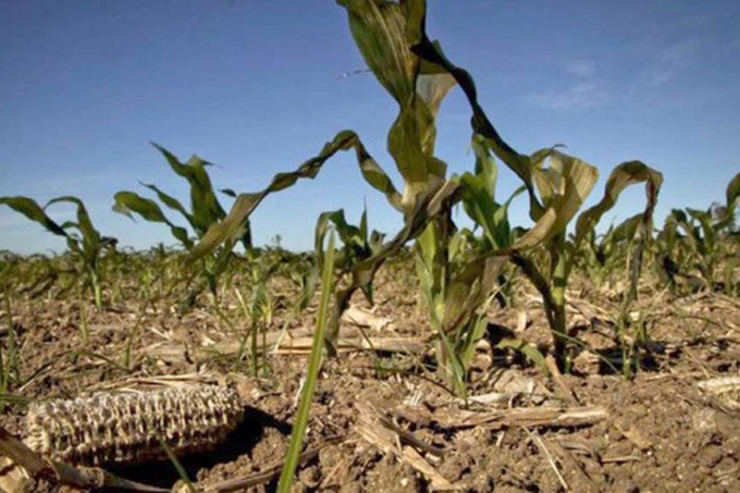 Tras una temporada de sequía que afectó la producción agrícola-ganadera, el Gobierno provincial declaró la emergencia agropecuaria. Dicha resolución beneficiará a los productores afectados en más de 24 municipios.