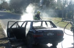 Un auto fue consumido por las llamas en la Avenida Antártida Argentina