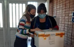 Plan de vacunación contra el coronavirus: llegaron a Salto 600 nuevas dosis