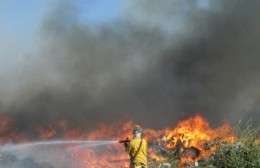 Otra vez un incendio en la planta de residuos demandó cuatro horas de trabajo a los bomberos