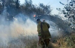Incendios forestales, cada vez más frecuentes y preocupantes