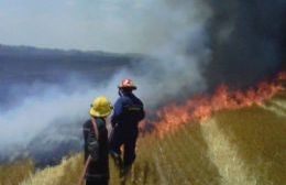 Bomberos de Arroyo Dulce y Salto trabajan para sofocar un incendio forestal