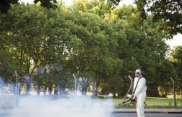 La Municipalidad realiza una campaña rigurosa contra el dengue