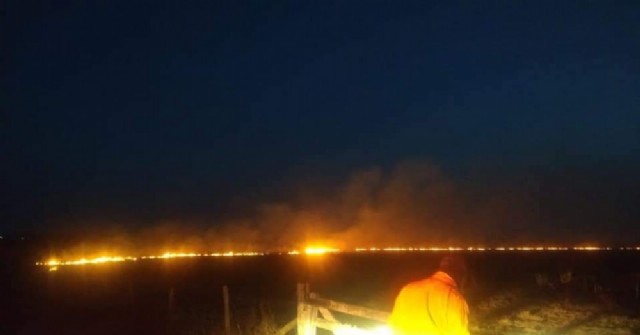 Bomberos Voluntarios de Inés Indart combatieron un incendio rural de proporciones