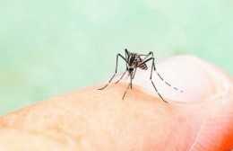 La comuna cuida a la sociedad del dengue