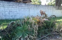 Vecinos denuncian falta de mantenimiento en la zona del Corralón