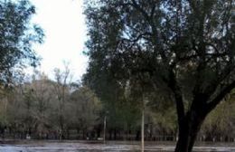 Crecida del río Salto: Comenzó el operativo preventivo de evacuaciones