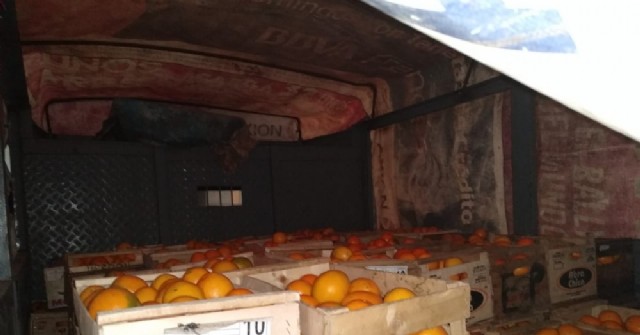 Decomisaron cargamento de naranjas proveniente de San Pedro