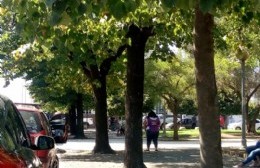 Aplicarán multas a quienes no paguen el estacionamiento medido en Salto