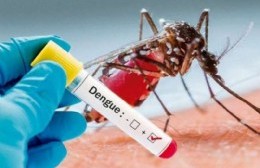 Siguen las jornadas de concientización por el dengue