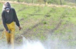 La Justicia prohibió fumigaciones en campos de Pergamino por la contaminación generada