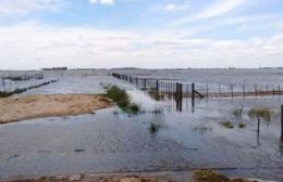 La Provincia licitó obras viales para municipios afectados por el agua