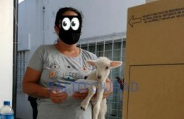 La foto del día en Salto: fue a votar con su cordero en brazos