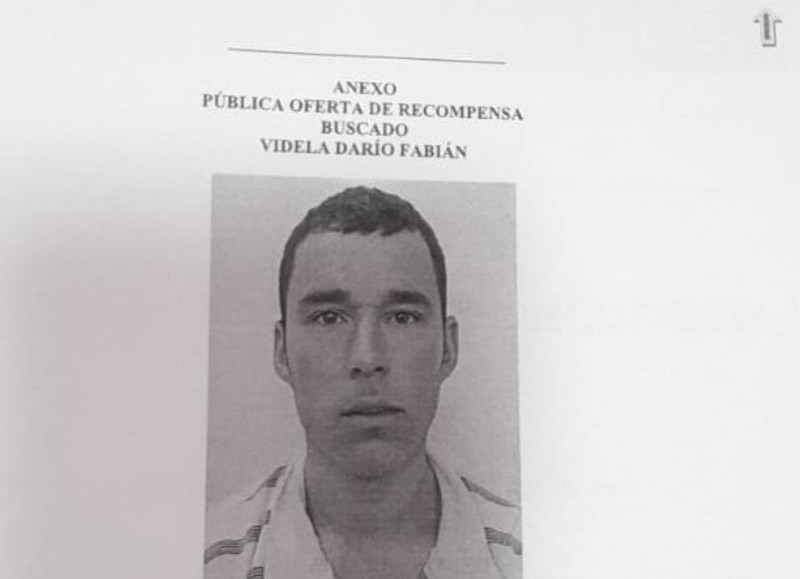 Darío Videla.