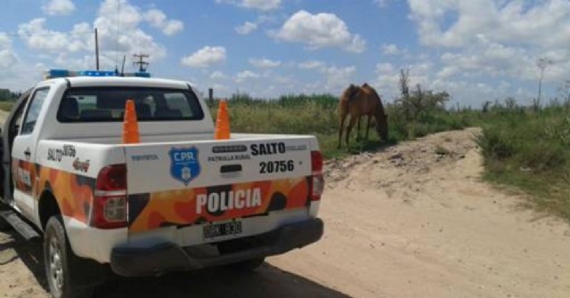 Intervención policial por menores que deambulaban en camino rural