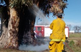 Los bomberos intervinieron en dos incendios durante la mañana del domingo