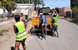 Limpieza: el municipio informó la ampliación de zonas y frecuencia en el servicio