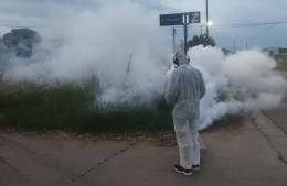 Intensifican los operativos de fumigación