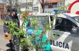 Hechos policiales de las últimas horas