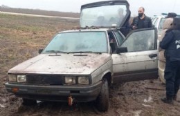 Robaron y carnearon cerdos en un campo, se les encajó el auto y fueron aprehendidos