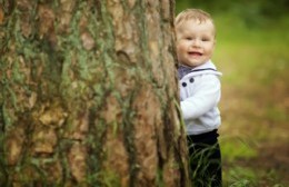 Continúa la inscripción a "Un nacimiento, un árbol"