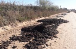 Vuelco de guano en camino vecinal