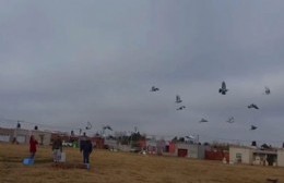 Caminata y suelta de palomas sobre la Avenida Rebagliatti