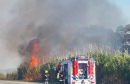 Un camión se prendió  fuego y provocó incendio forestal
