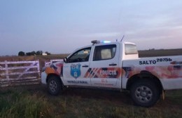 Atacaron a golpes a los policías y fueron aprehendidos