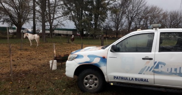 Caballos sueltos en Ruta 32