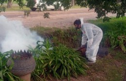 Fumigación para combatir el dengue en Gahan