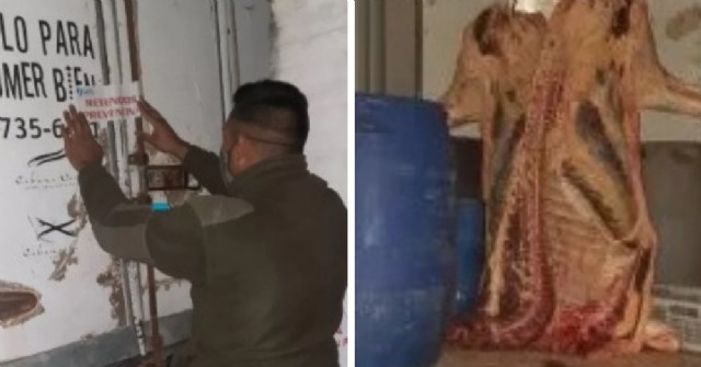 Carne clandestina: secuestraron un camión con mercadería sin sello para ser comercializada sin ningún control