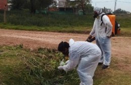 El Municipio continúa con los trabajos de limpieza en los barrios