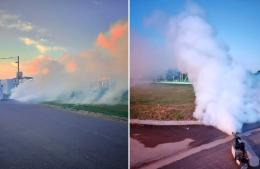 Fumigación contra el mosquito