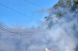 Continúa el plan intensivo de fumigación contra el mosquito