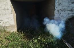 Intensifican los trabajos de fumigación